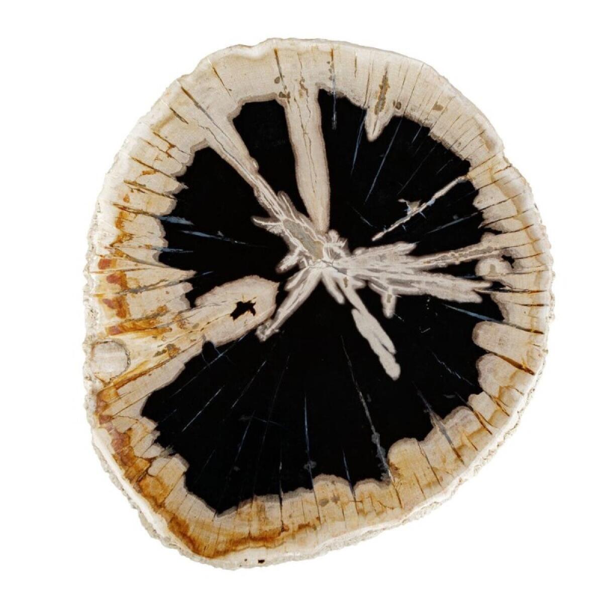 Arco Accent Table - Image 4