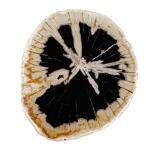 Arco Accent Table - Image 4