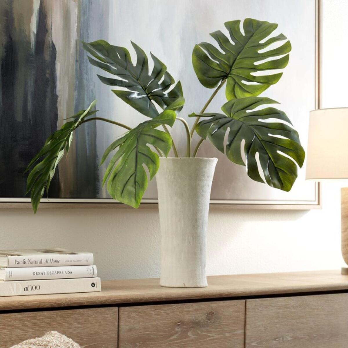 Muse Monstera Centerpiece - Image 4