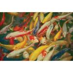 Koi Printed Canvas Painting Art Art 8