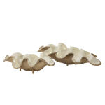 Champagne Roff Bowl Set Accessories Accessories 10