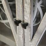 Zenia Curio - Image 5