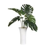 Muse Monstera Centerpiece - Image 5