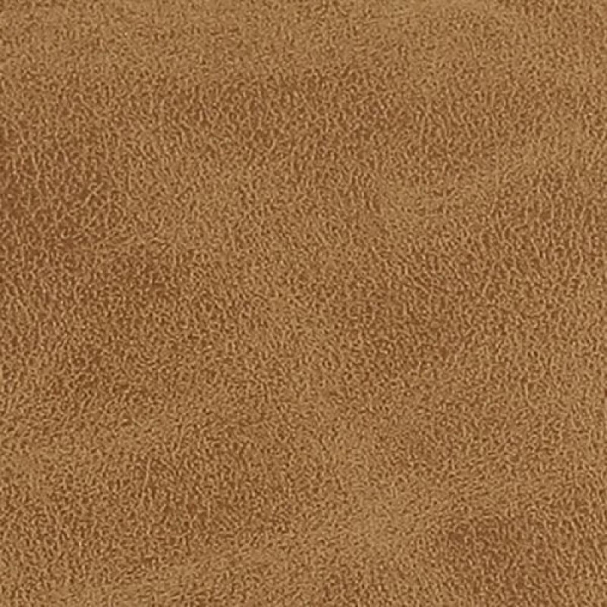 Conifer Dining Armchair, Camel - Image 3