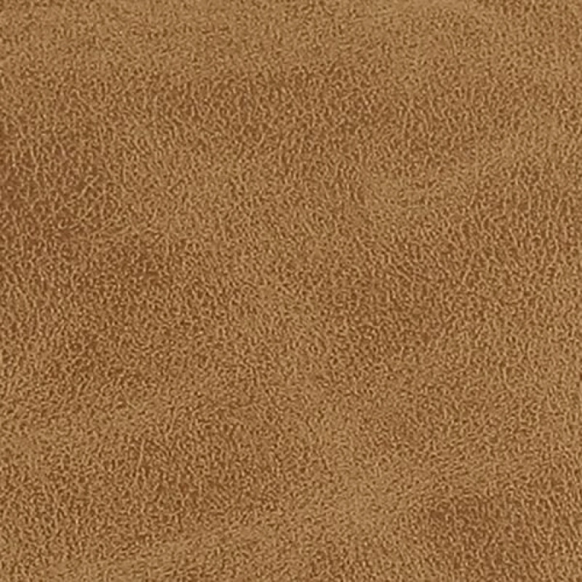 Conifer Dining Armchair, Camel - Image 2