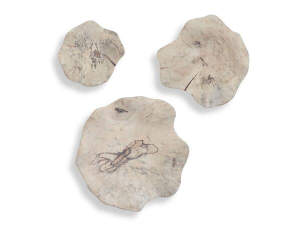 Teo Wood Wall Decor, Bleached S/3 Wall Decor Uttermost