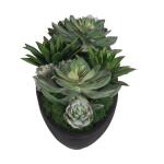 Verde Succulent Centerpiece Accessories Accessories 17