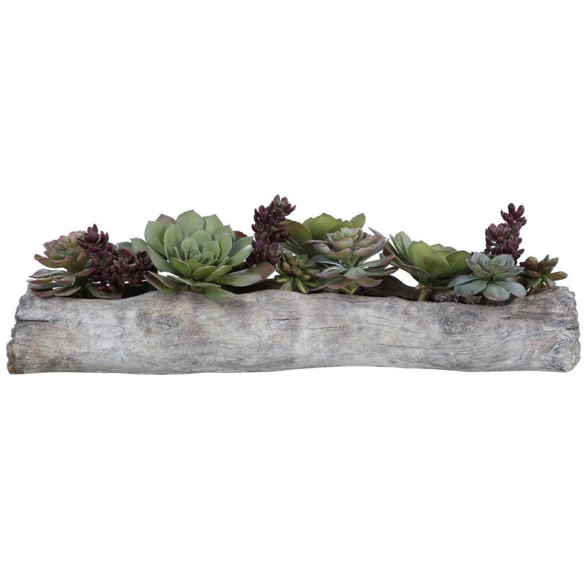 Charita Succulents - Image 4