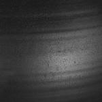 Bower Vases, S/2 - Image 5