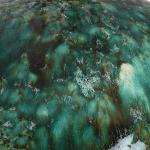 Ceralene Table Lamp - Image 7