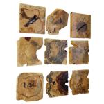 Bahati Wood Wall Decor, Natural, S/9 - Image 6