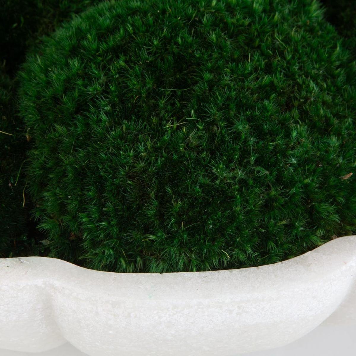 Awaken Moss Centerpiece - Image 5