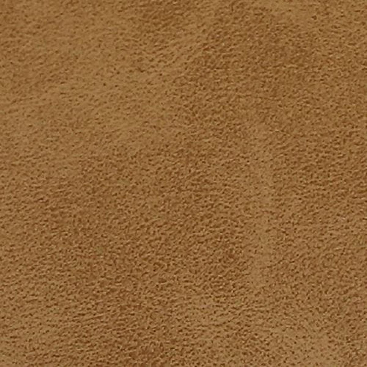 Conifer Dining Chair, Camel, 2 Per Box, Priced Each - Image 3