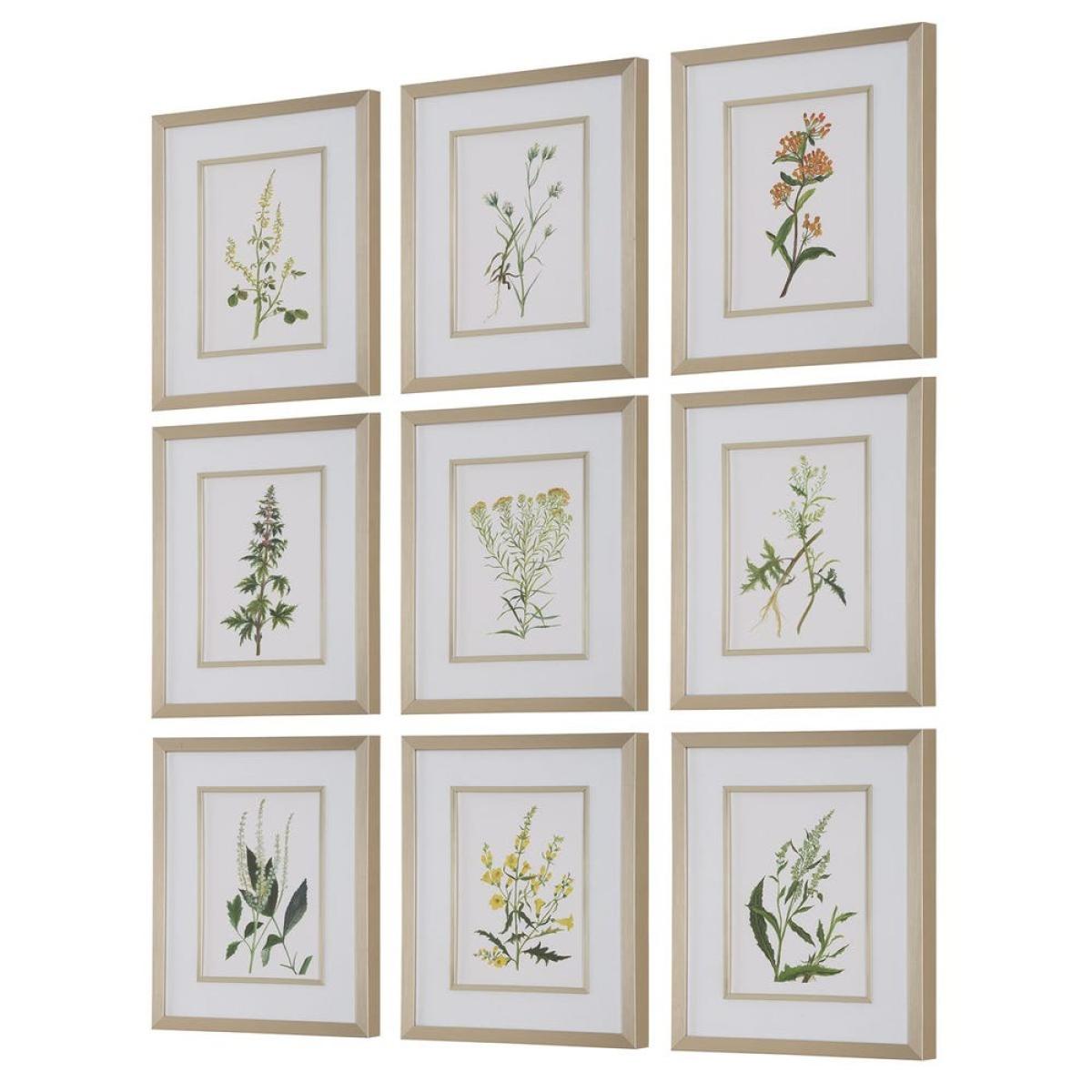 Botanical Flowers Framed Prints, S/9 - Image 5