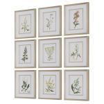 Botanical Flowers Framed Prints, S/9 - Image 5