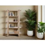 4 Shelves, Bookcase - Balam - Image 4