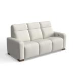 Acadia Power Reclining Sofa W/ Headrest