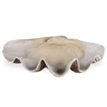 Clam Shell Bowl