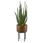 Arabia Aloe Planter, 2 Cartons