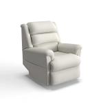 Astor Platinum Power Lift Recliner W/ Headrest & Lumbar