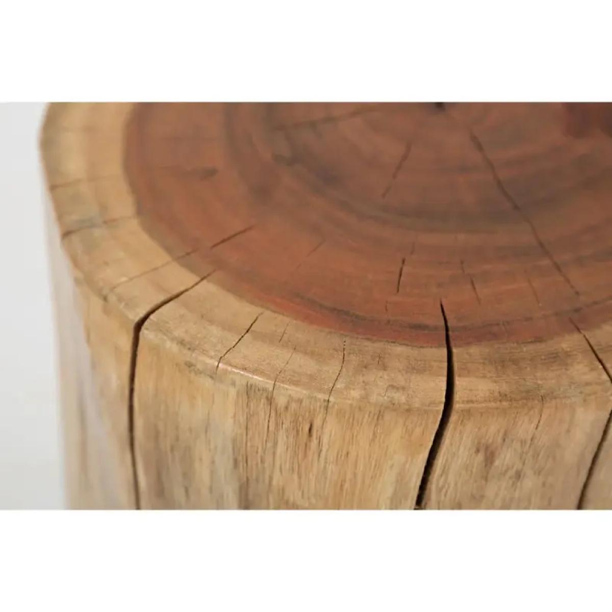 Madera Stump Accent Table - Image 5