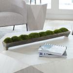 Canal Moss Centerpiece, Large - Image 3