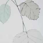 Come What May Framed Prints, S/2 - Image 5