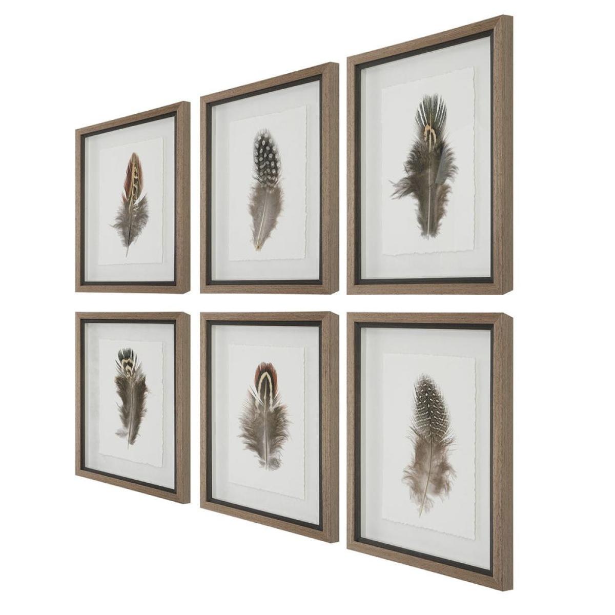 Birds Of A Feather Framed Prints, S/6 - Image 6