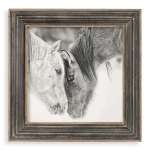 Custom Black And White Horses Framed Print
