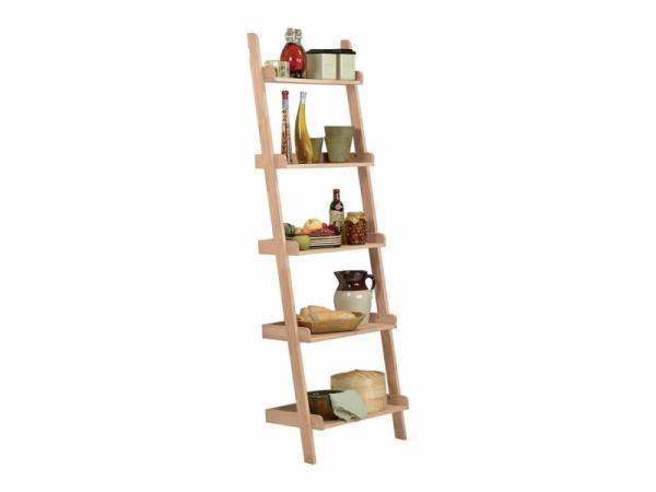 Accessory Ladder