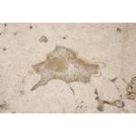 Round End Table - Image 7