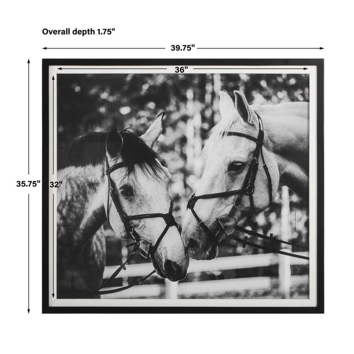 Apple Of My Eye Framed Print - Image 9