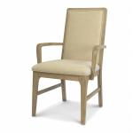 Rio Vista Arm Chair (2pack) - Muted Earth Tones Clay Finish