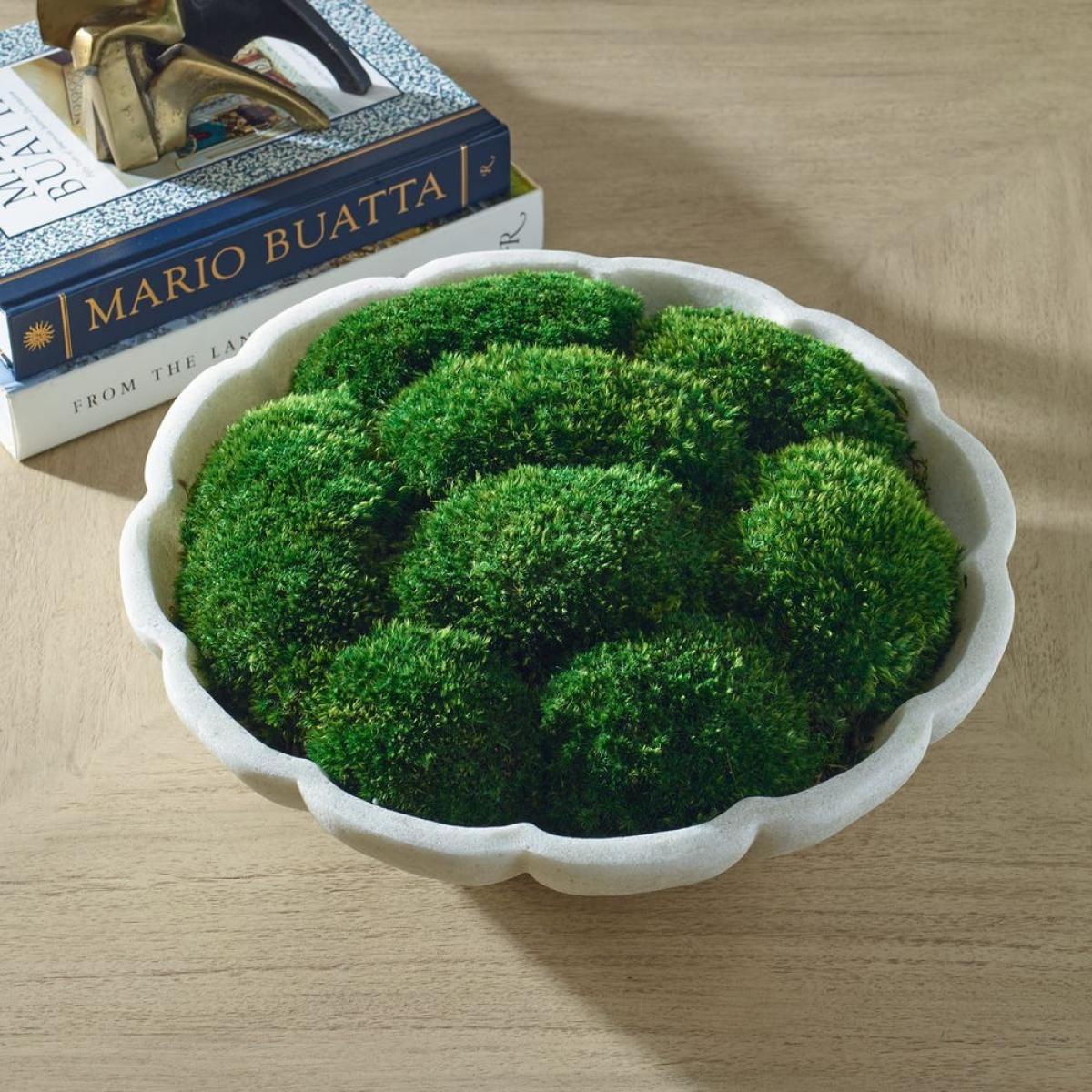 Awaken Moss Centerpiece - Image 4