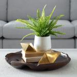Boston Fern Accent - Image 3