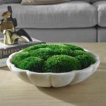 Awaken Moss Centerpiece - Image 3