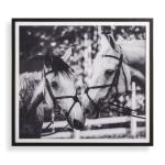 Apple Of My Eye Framed Print