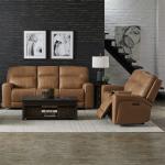 Sofa & Loveseat