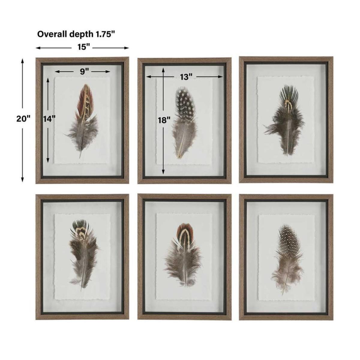 Birds Of A Feather Framed Prints, S/6 - Image 10