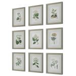 Antique Botanicals Framed Prints, S/9 - Image 6