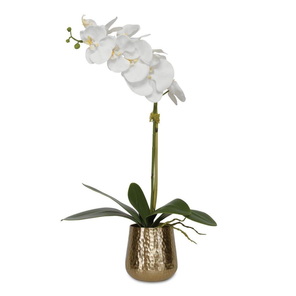 Cami Orchid, Brass - Image 2