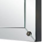 Calgary Mirror - Image 5