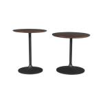 Remy 2pc Nesting Tables