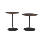 Remy 2pc Nesting Tables