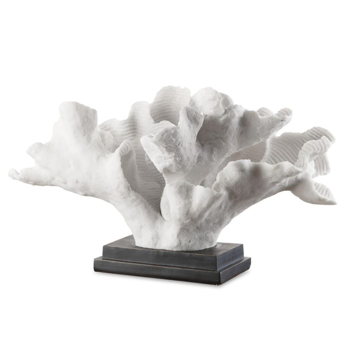 Blade Coral - Image 2