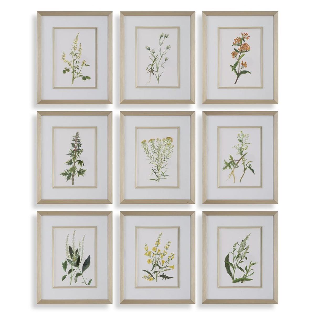 Botanical Flowers Framed Prints, S/9 - Image 2