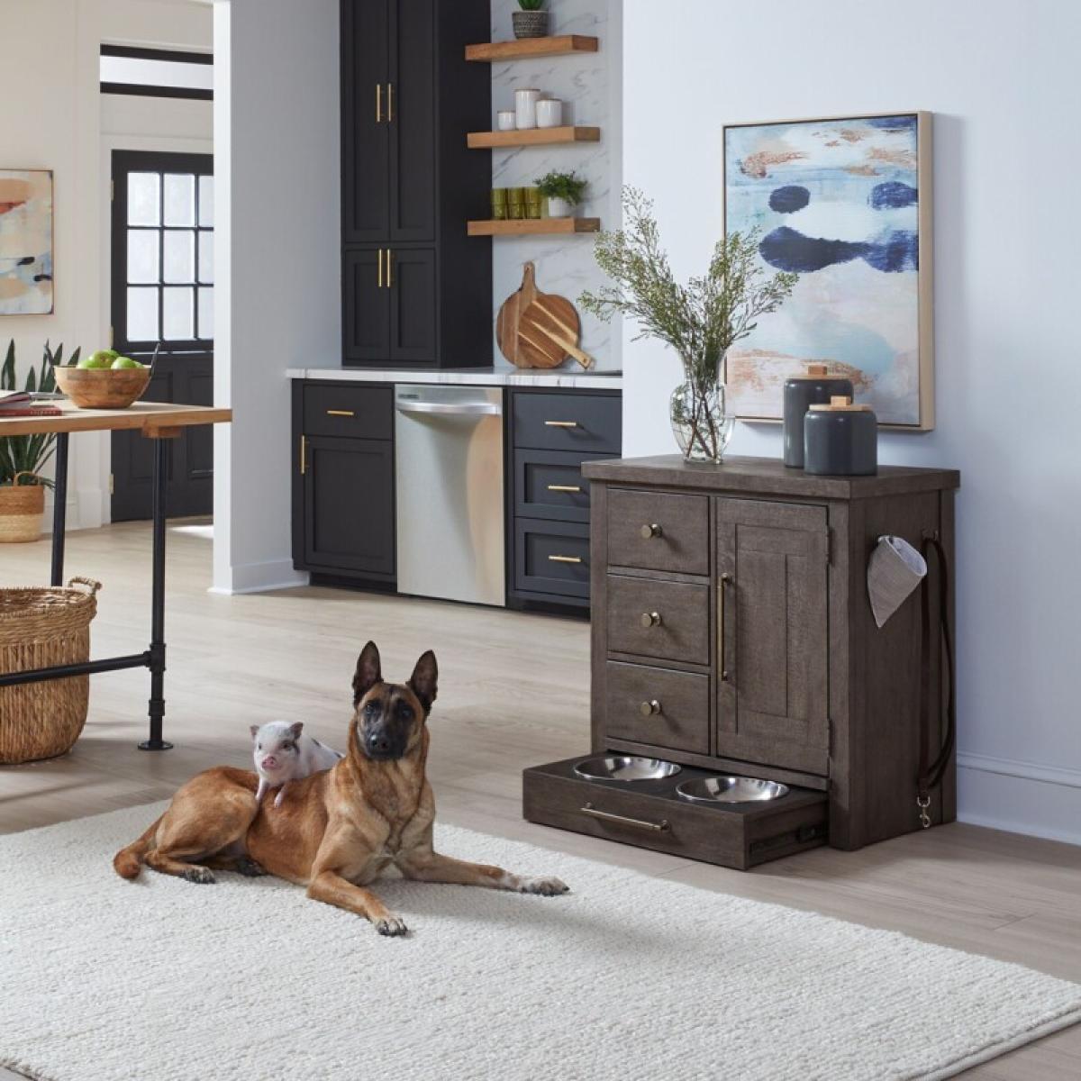 Pet Feeder - Image 2