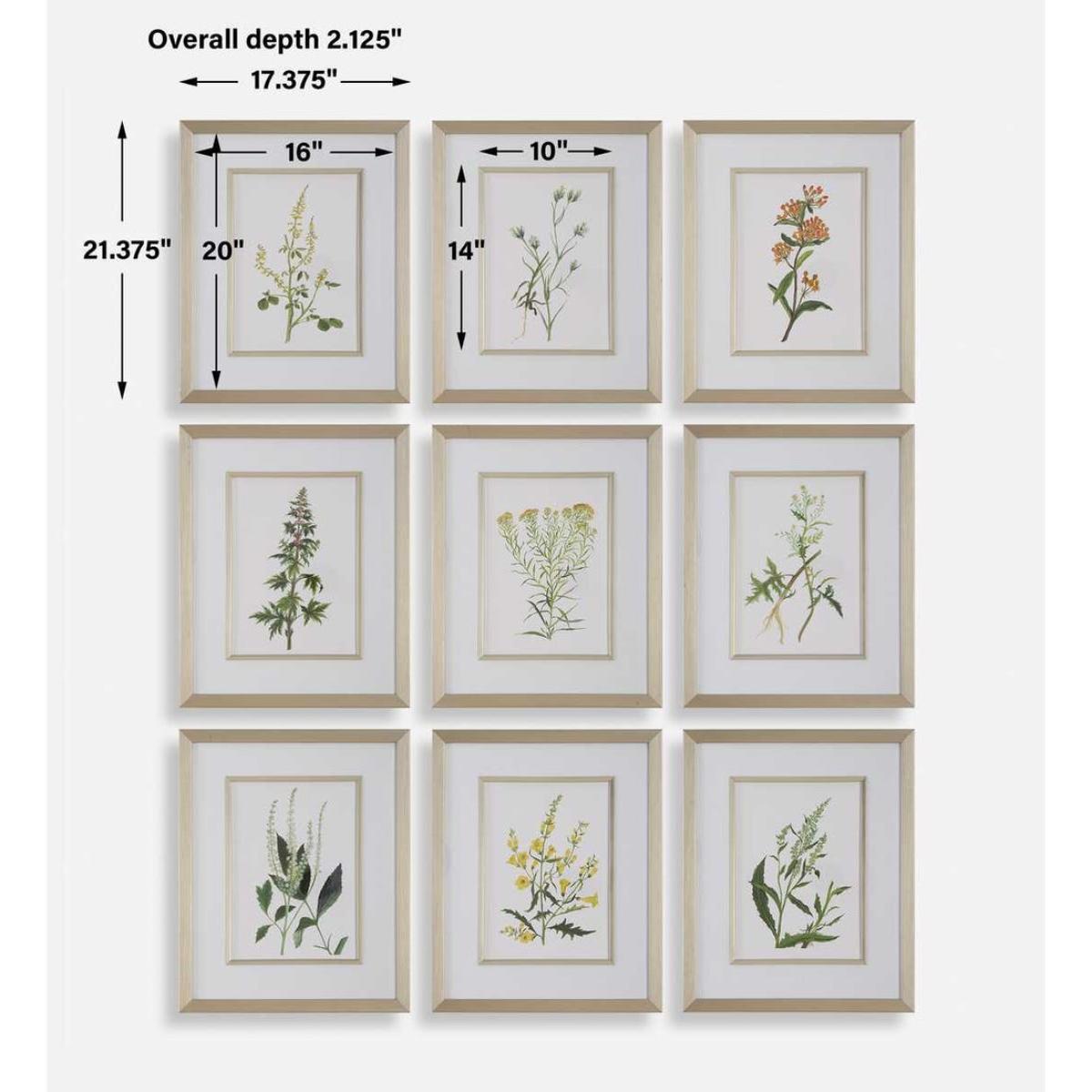 Botanical Flowers Framed Prints, S/9 - Image 8