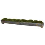 Canal Moss Centerpiece, Large - Image 4