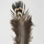 Birds Of A Feather Framed Prints, S/6 - Image 7